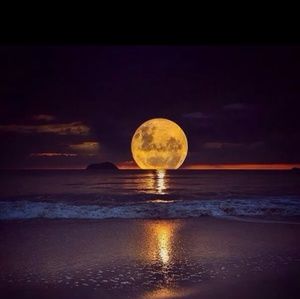 Meet your Posher, Carrie